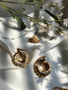 Clam Metallic Earring