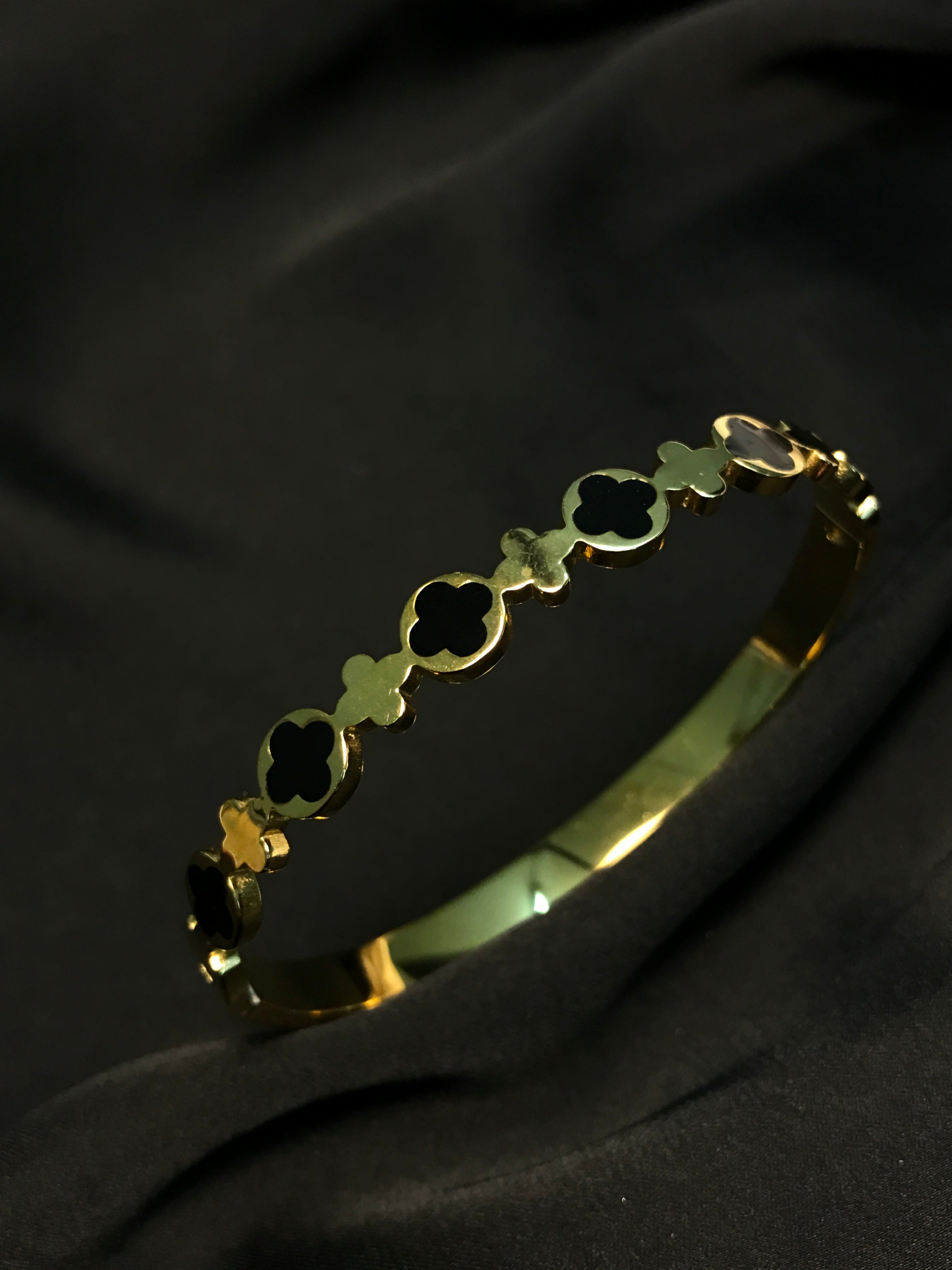 Titanium Bracelet Clovar-11